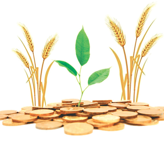 Impractical bank loans.